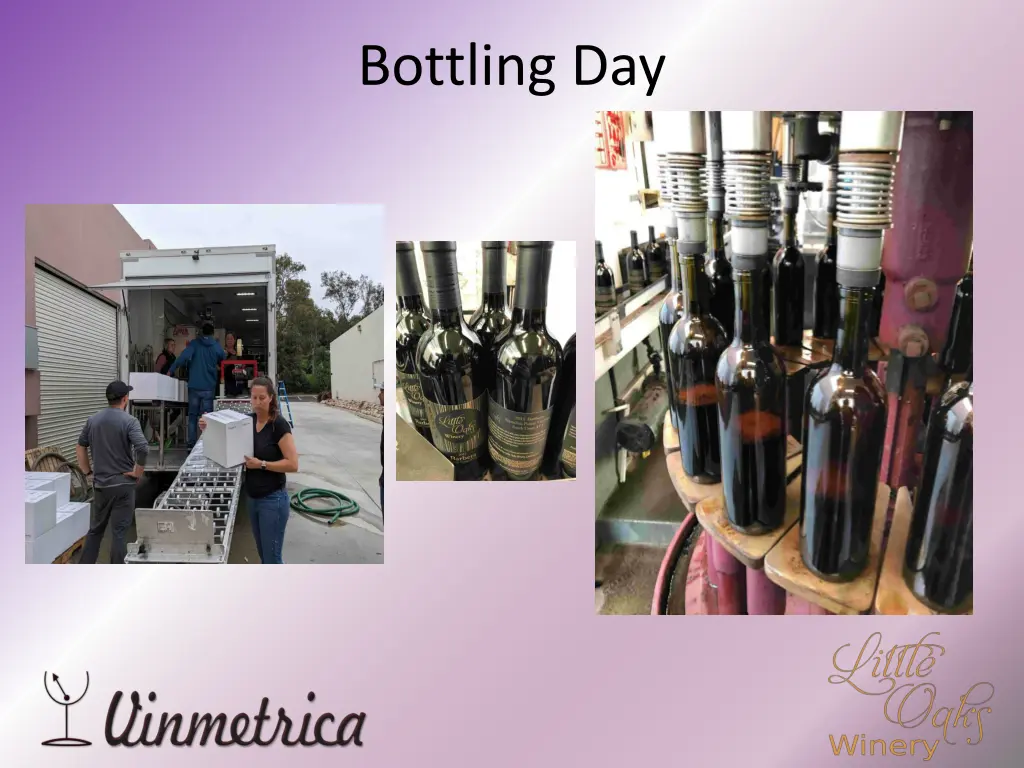 bottling day