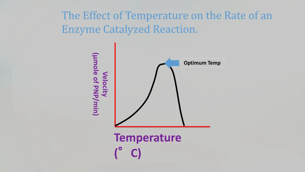 the effect of temperature on the rate 1