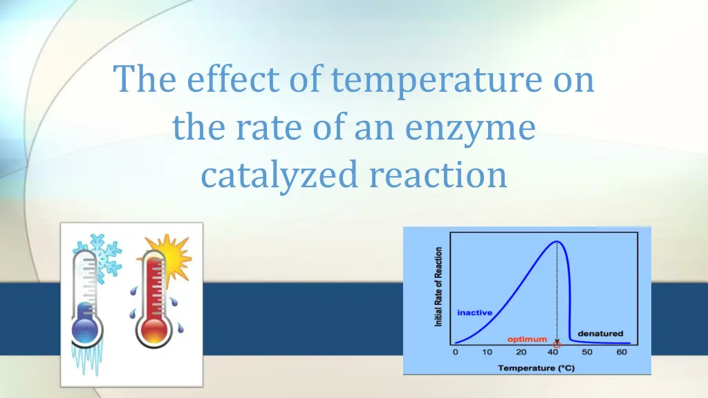 the effect of temperature on the rate