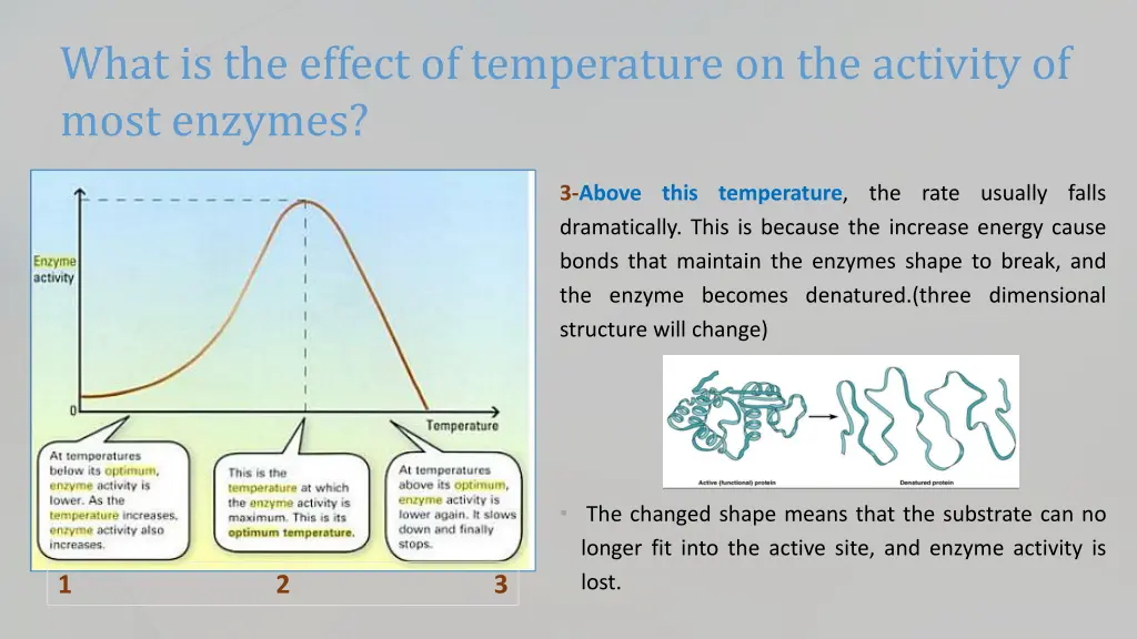 what is the effect of temperature on the activity 1