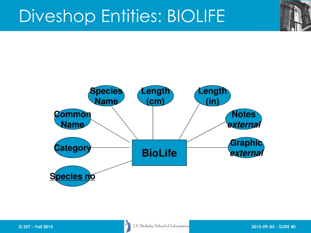 diveshop entities biolife