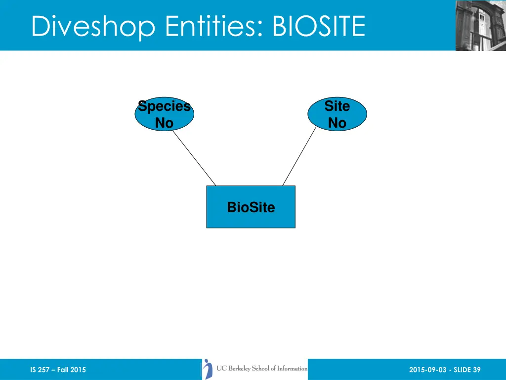 diveshop entities biosite