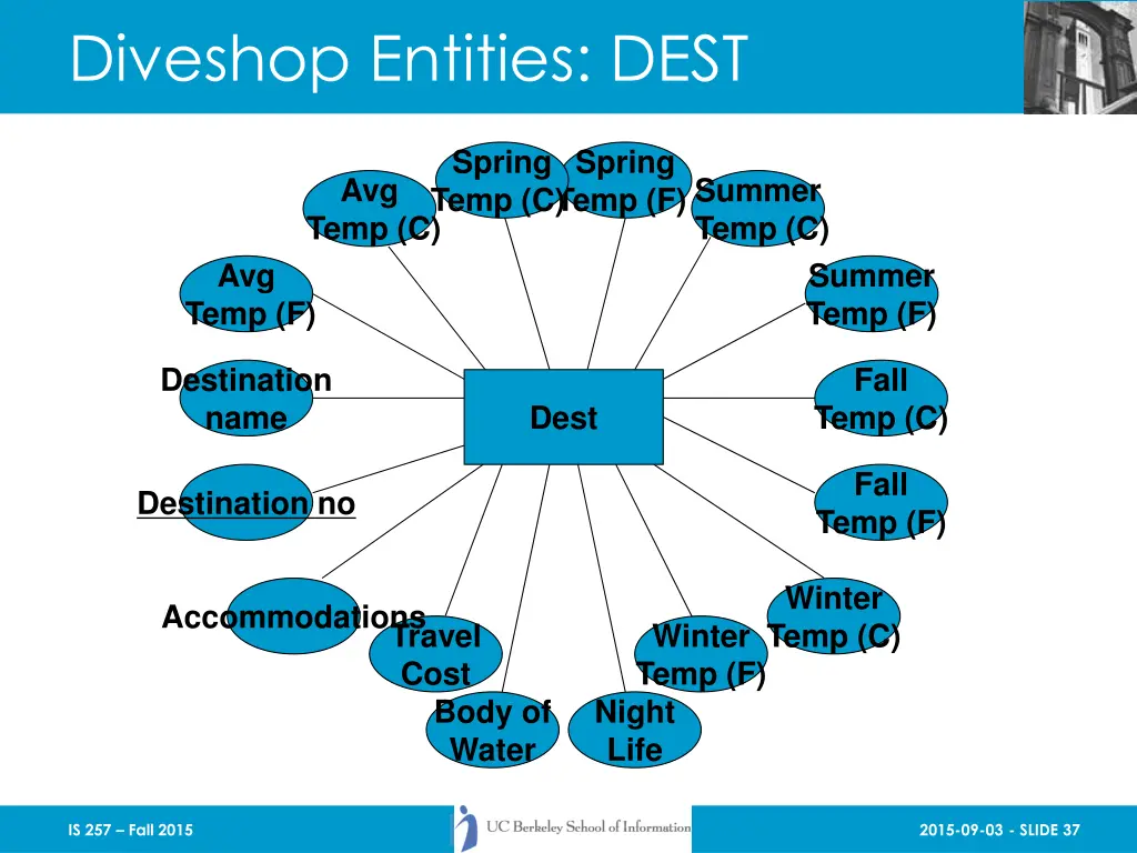 diveshop entities dest