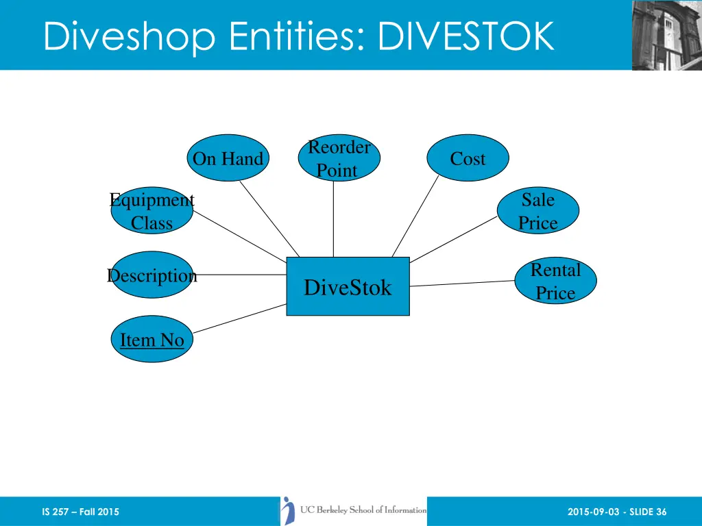 diveshop entities divestok