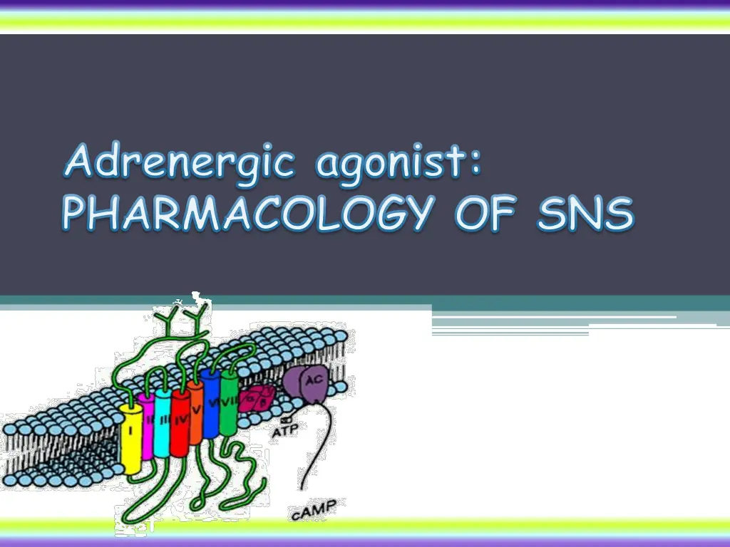 adrenergic agonist pharmacology of sns
