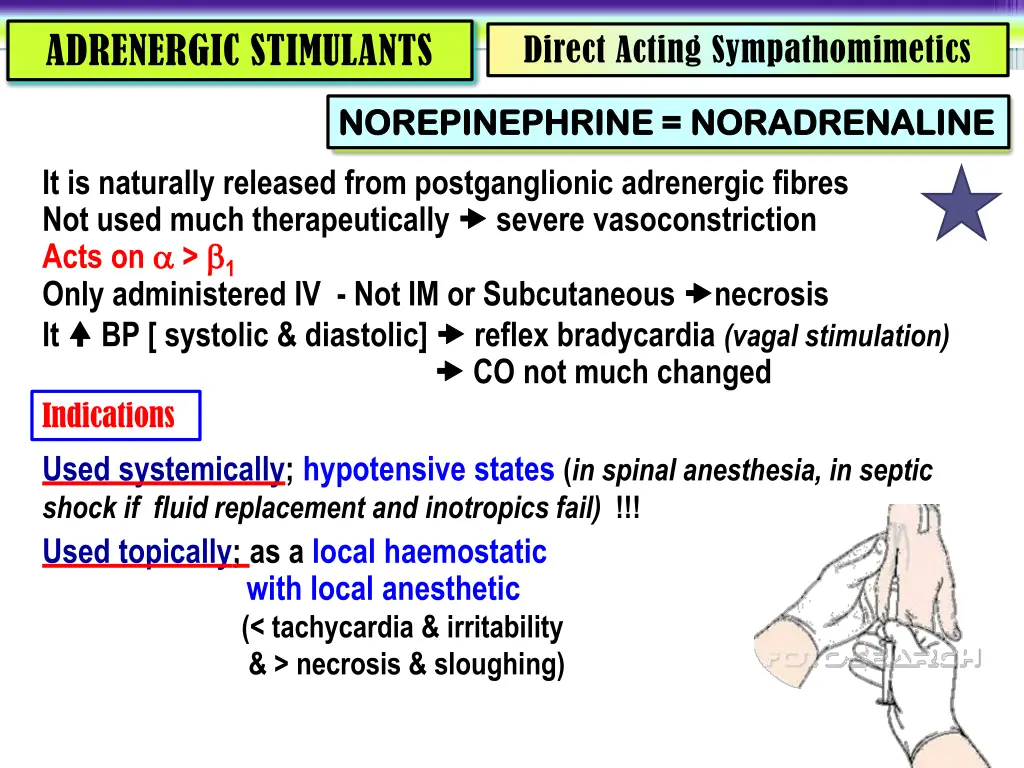 adrenergic stimulants 2