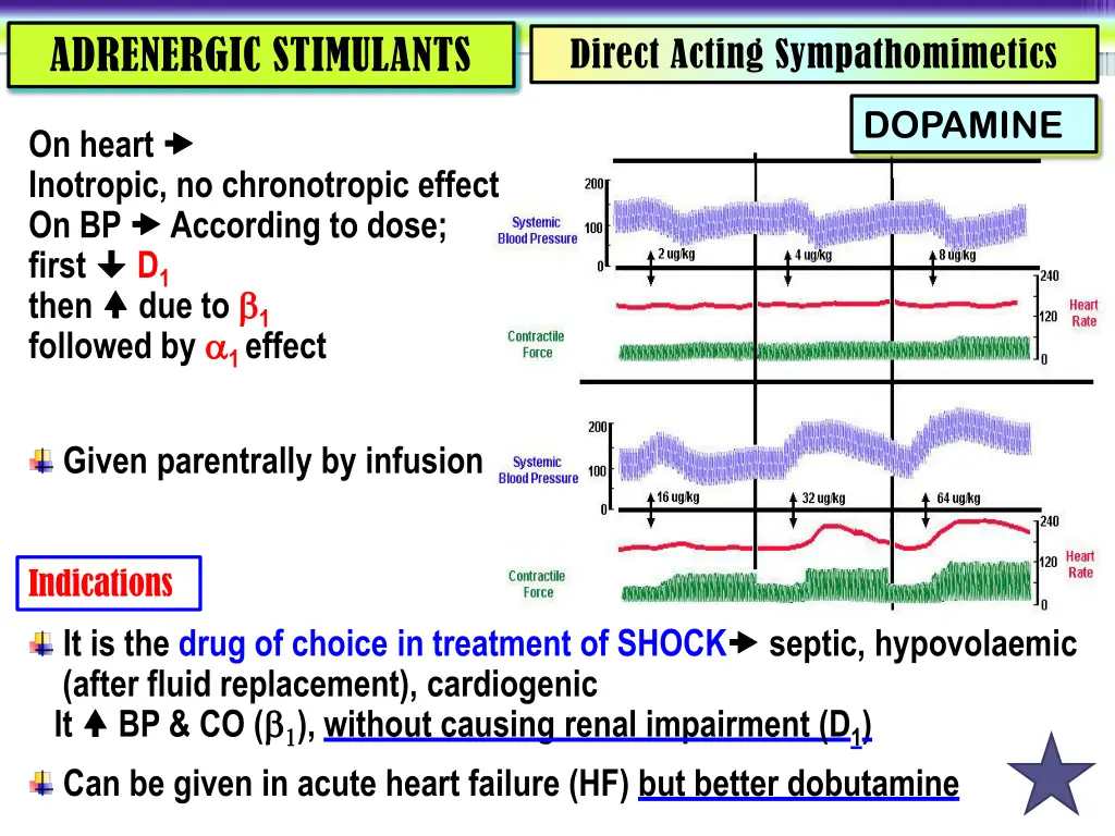 adrenergic stimulants 4