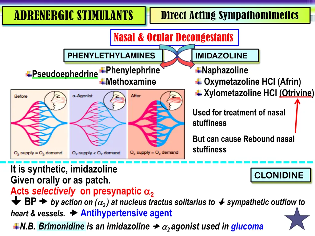 adrenergic stimulants 7