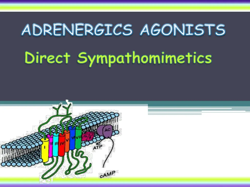 adrenergics agonists