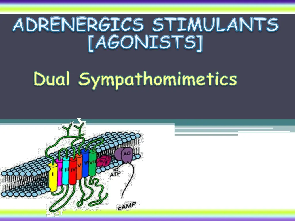 adrenergics stimulants agonists 1