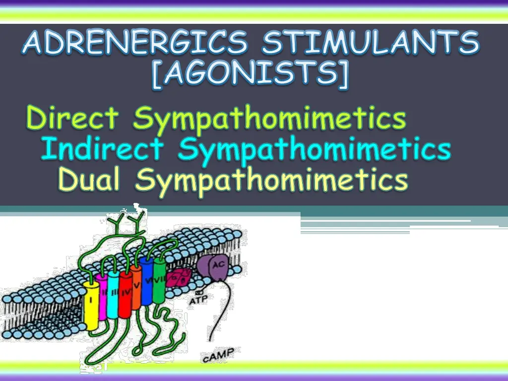 adrenergics stimulants agonists direct