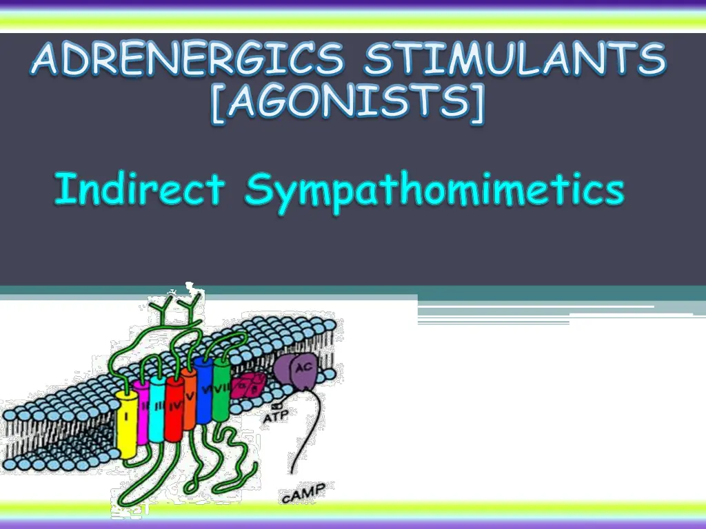adrenergics stimulants agonists