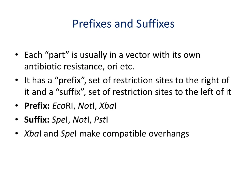 prefixes and suffixes