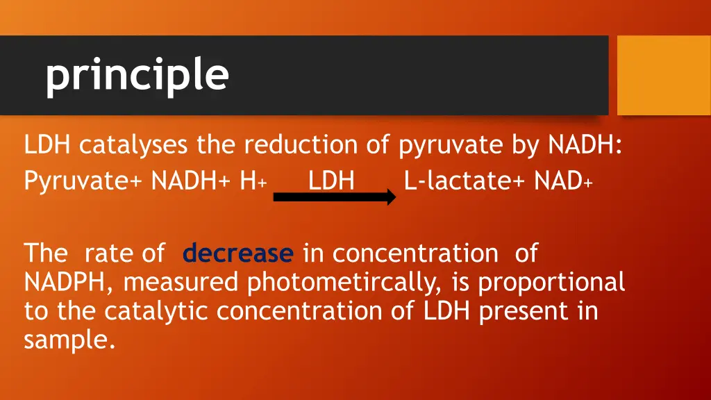 principle