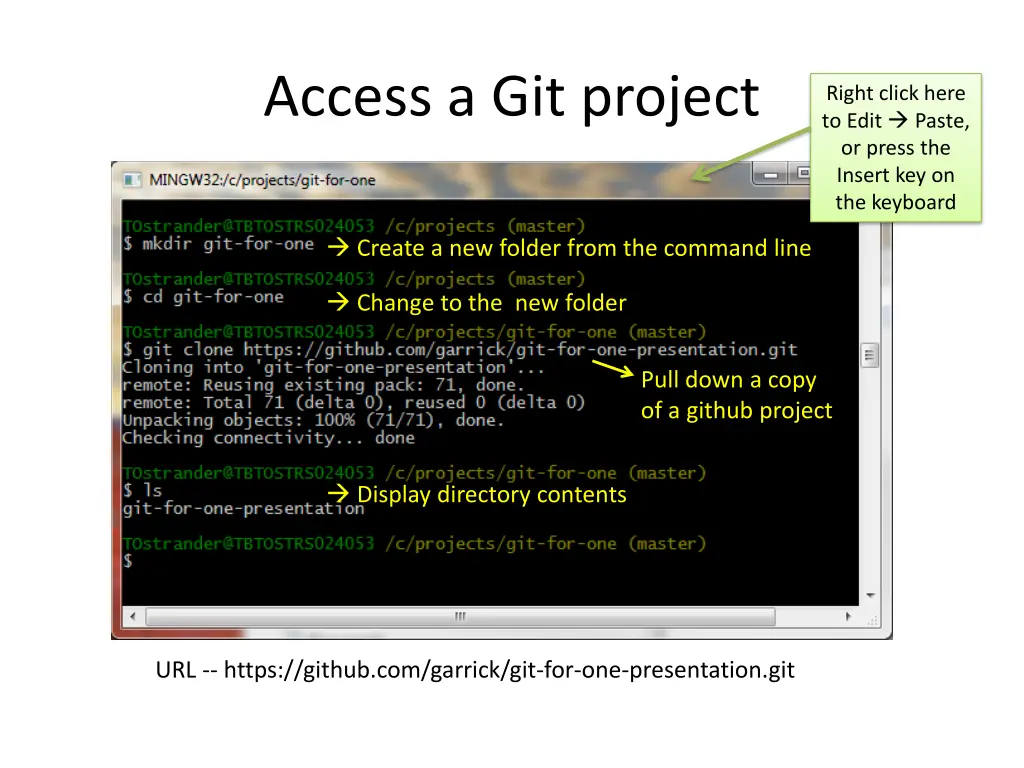 access a git project
