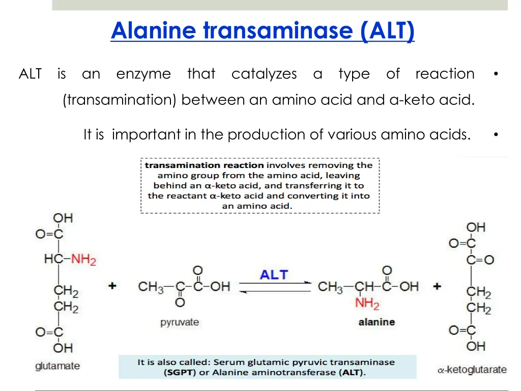 alanine transaminase alt
