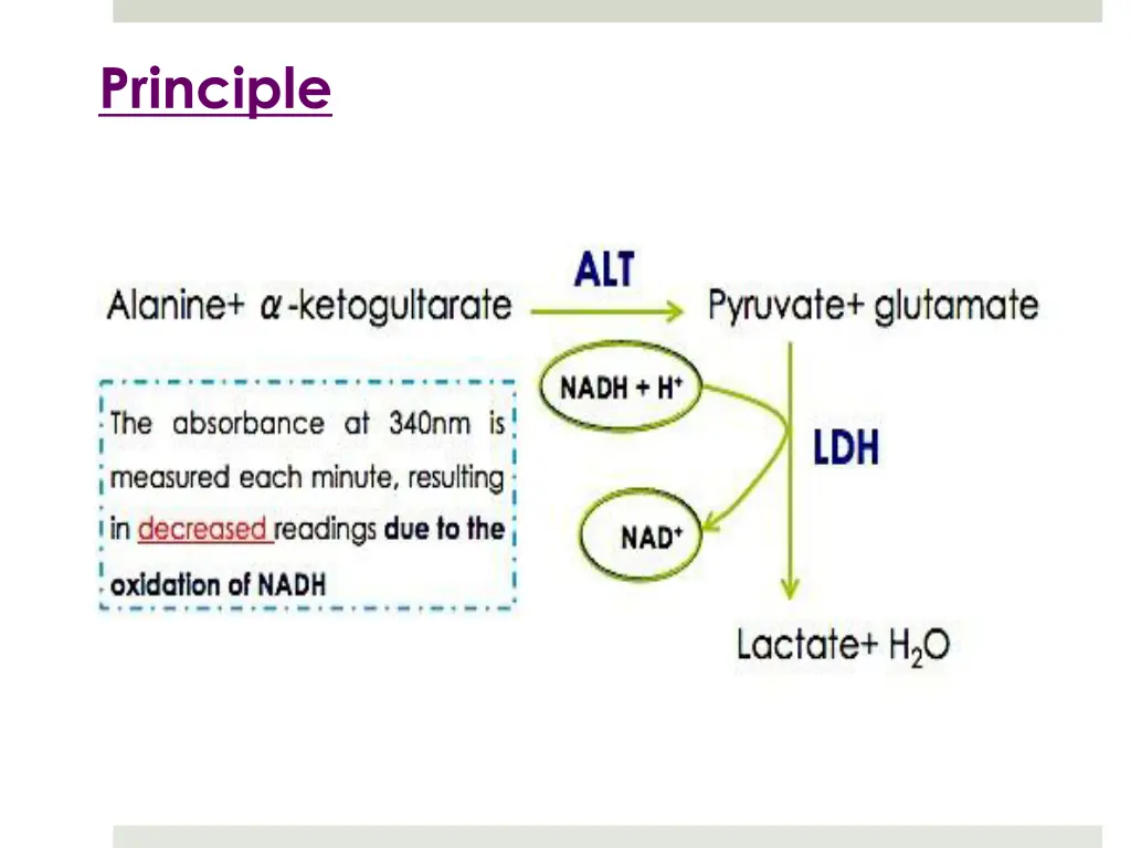 principle