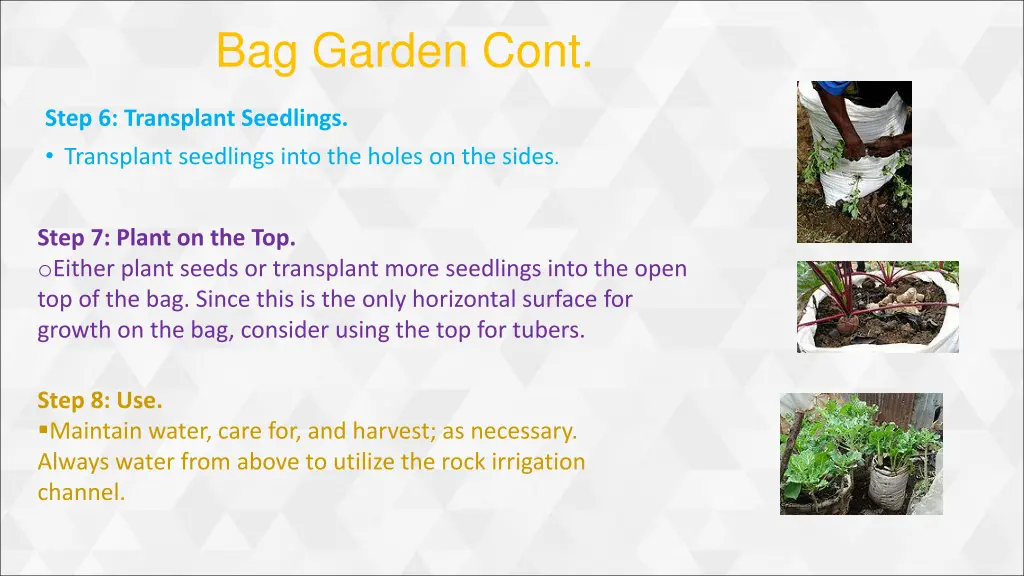 bag garden cont 2
