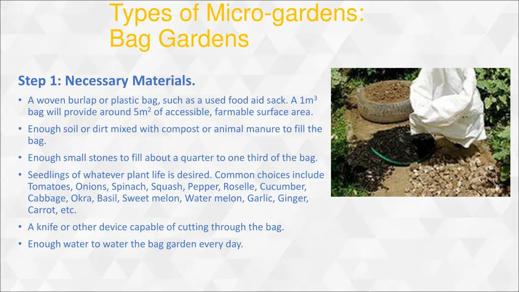 types of micro gardens bag gardens