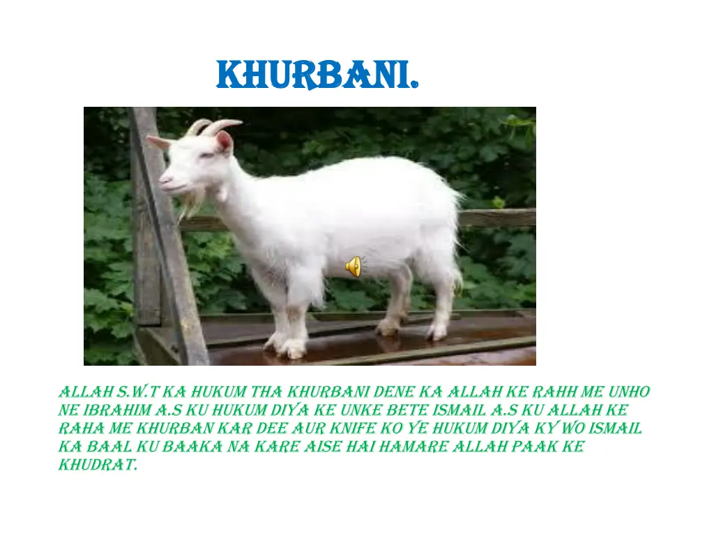 khurbani khurbani