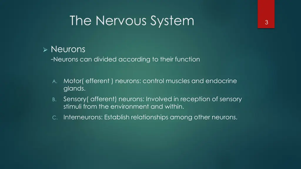 the nervous system 2