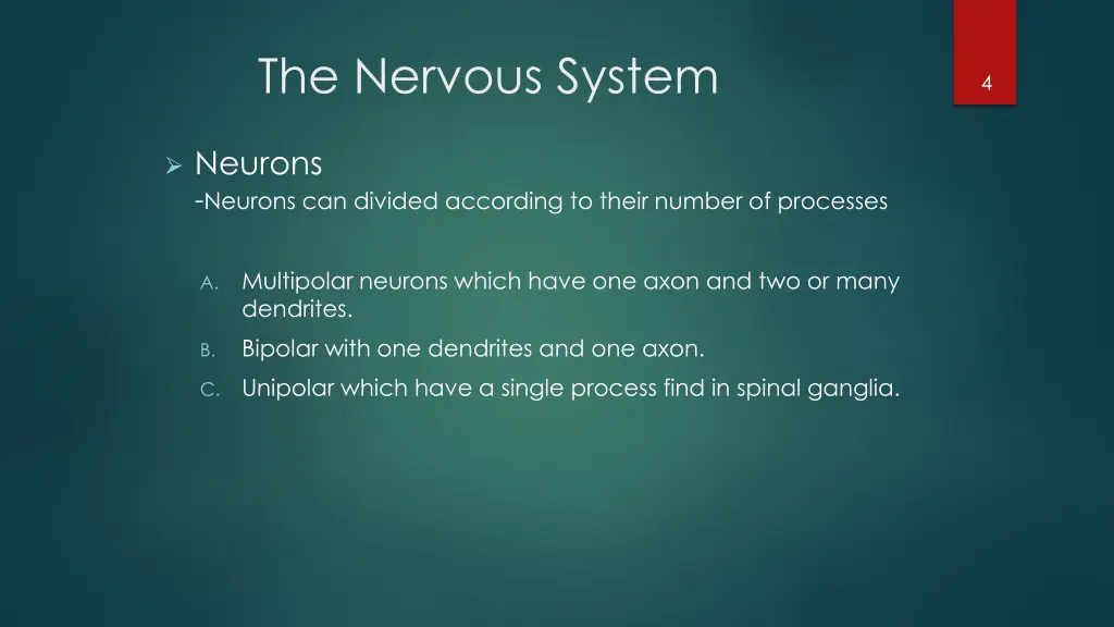 the nervous system 3