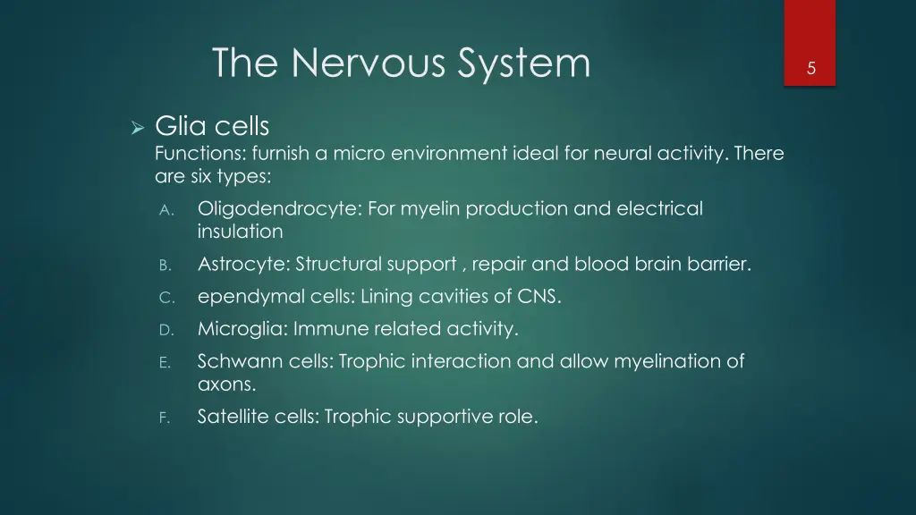 the nervous system 4