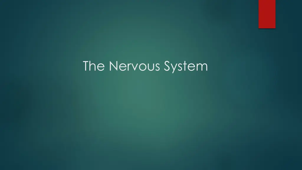 the nervous system