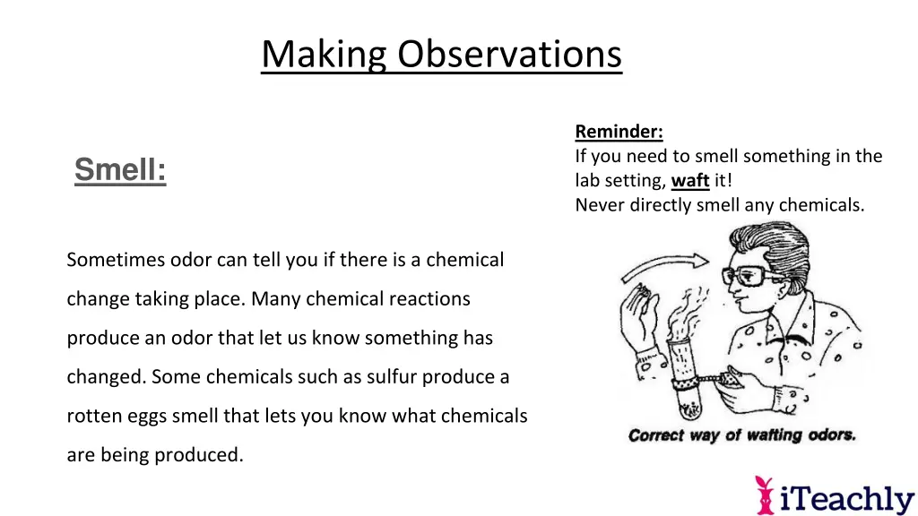 making observations 6