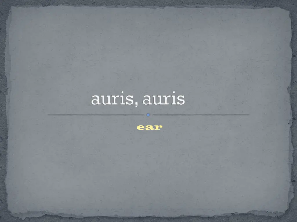 auris auris