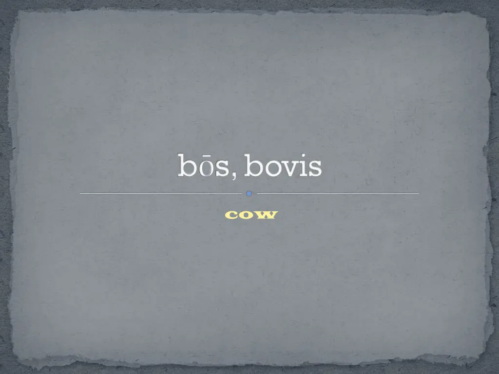 b s bovis