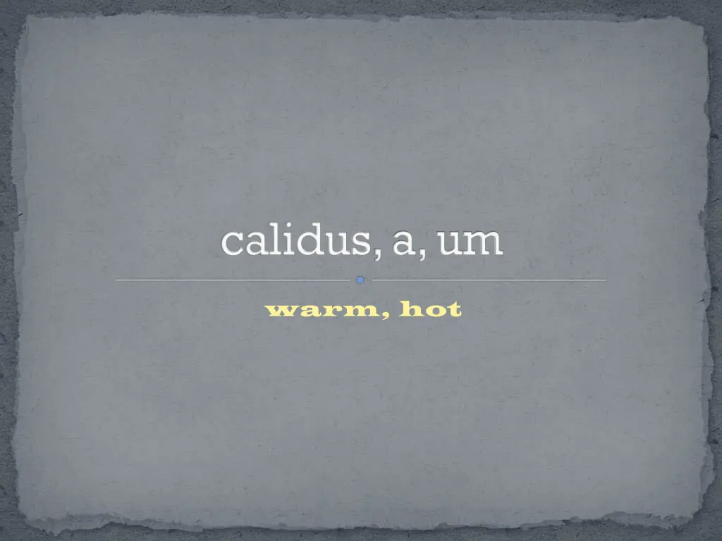 calidus a um