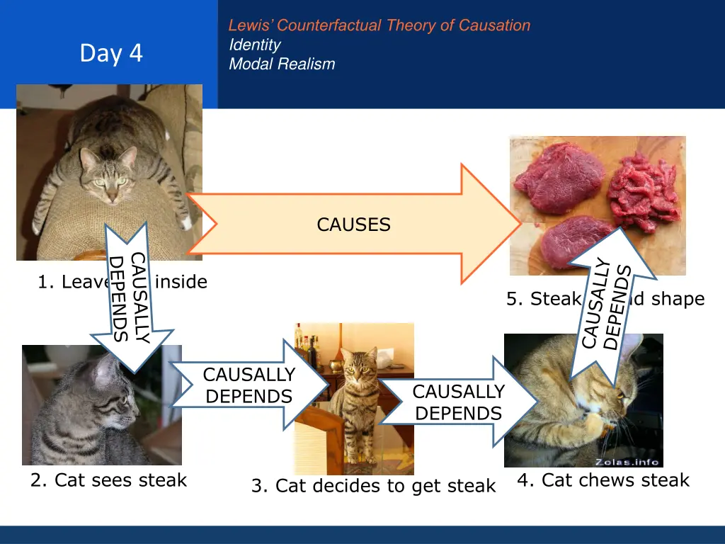 lewis counterfactual theory of causation identity 6