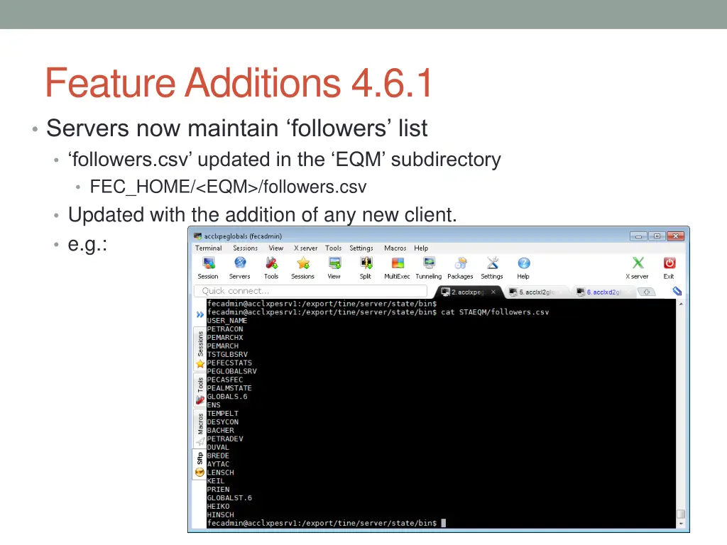 feature additions 4 6 1 servers now maintain