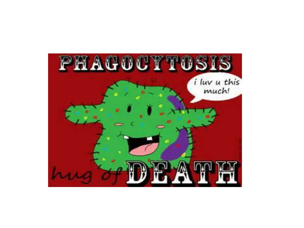 slide20