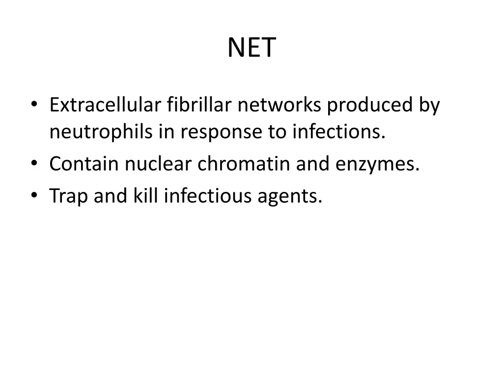 slide29