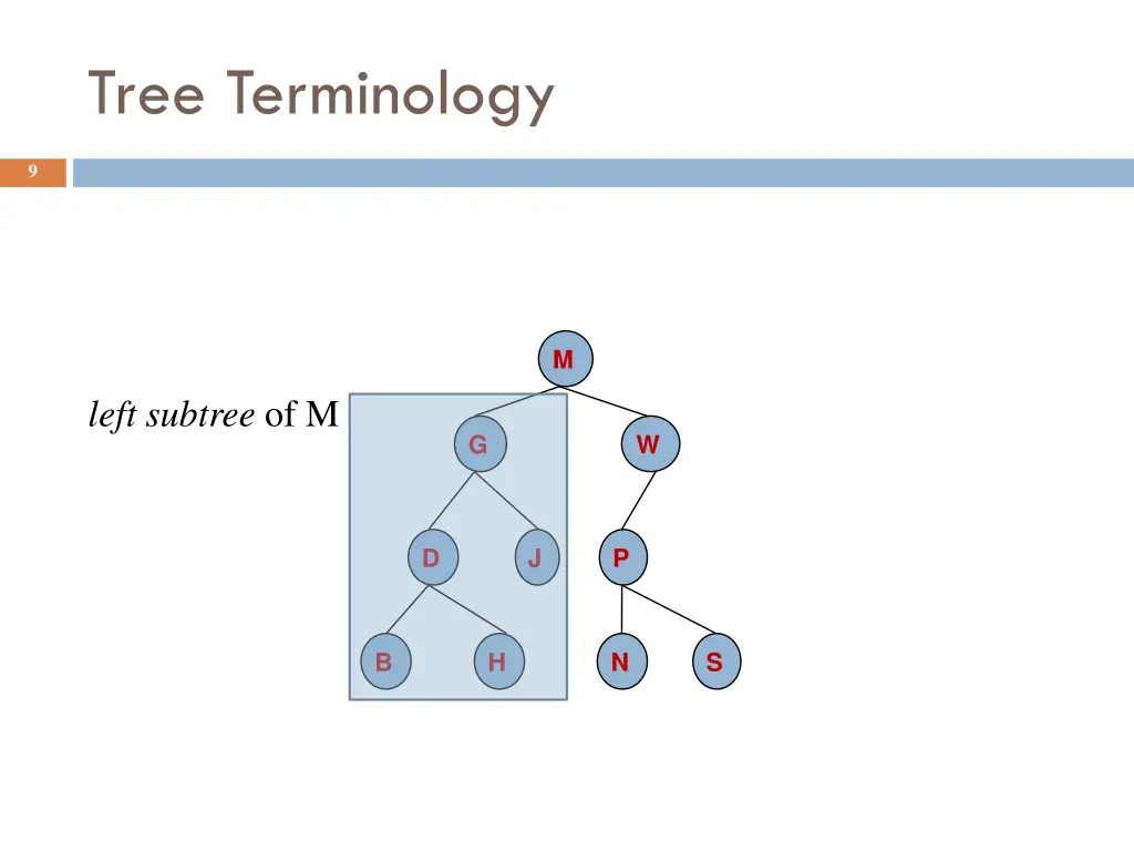 tree terminology 2