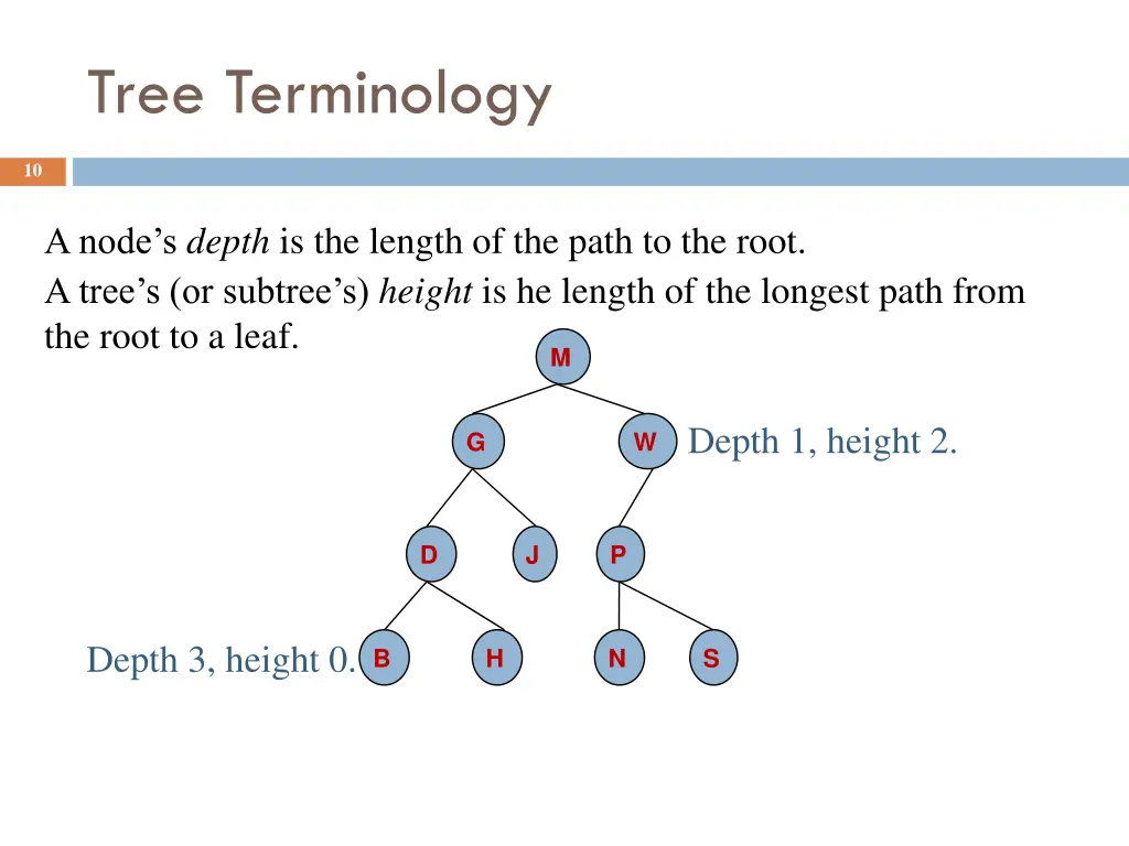 tree terminology 3