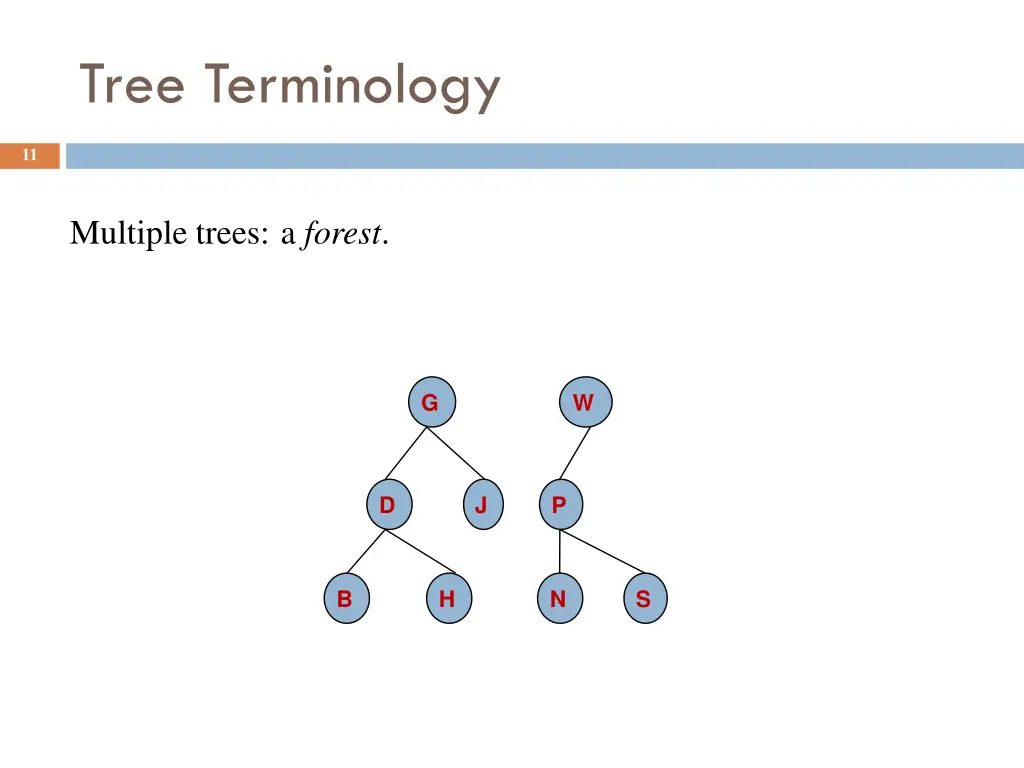tree terminology 4