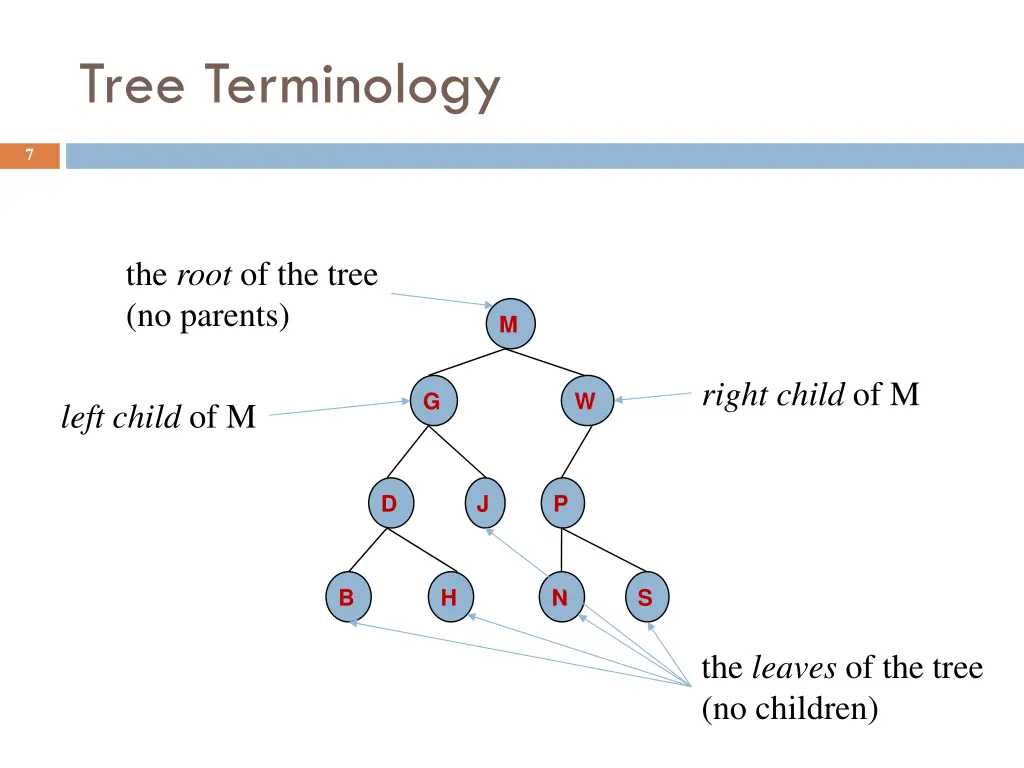 tree terminology