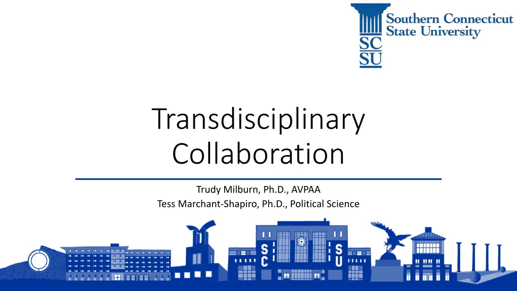 transdisciplinary collaboration