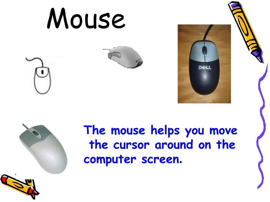mouse