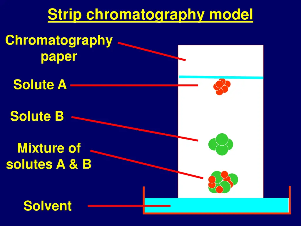 strip chromatography model