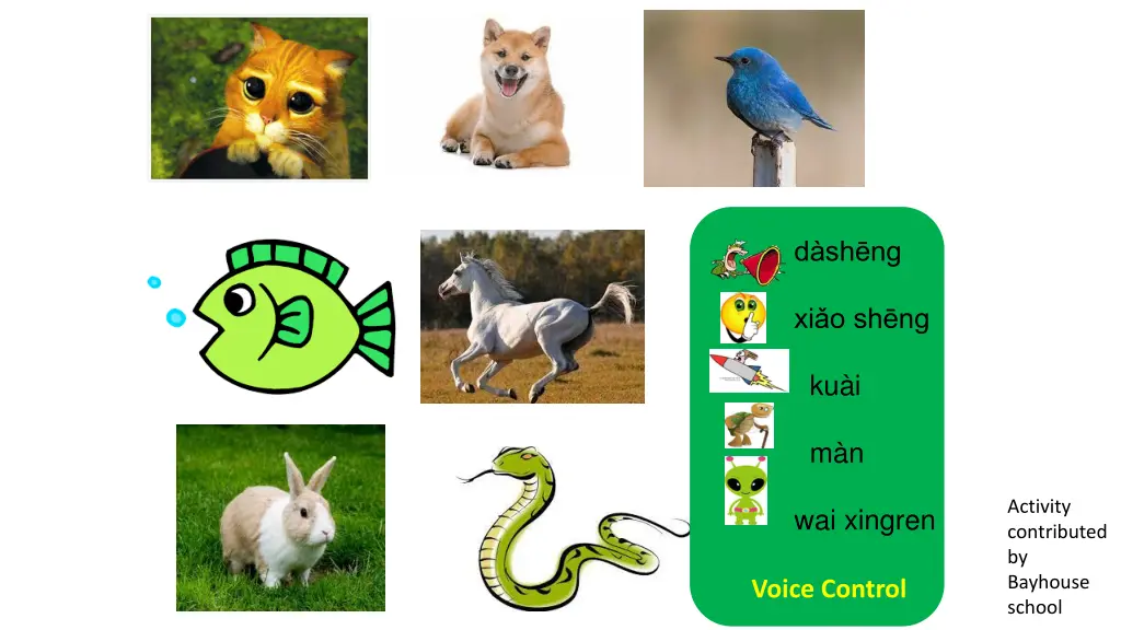 d sh ng
