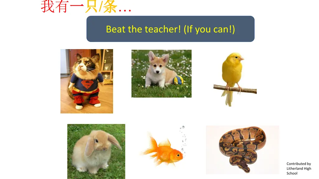 slide24