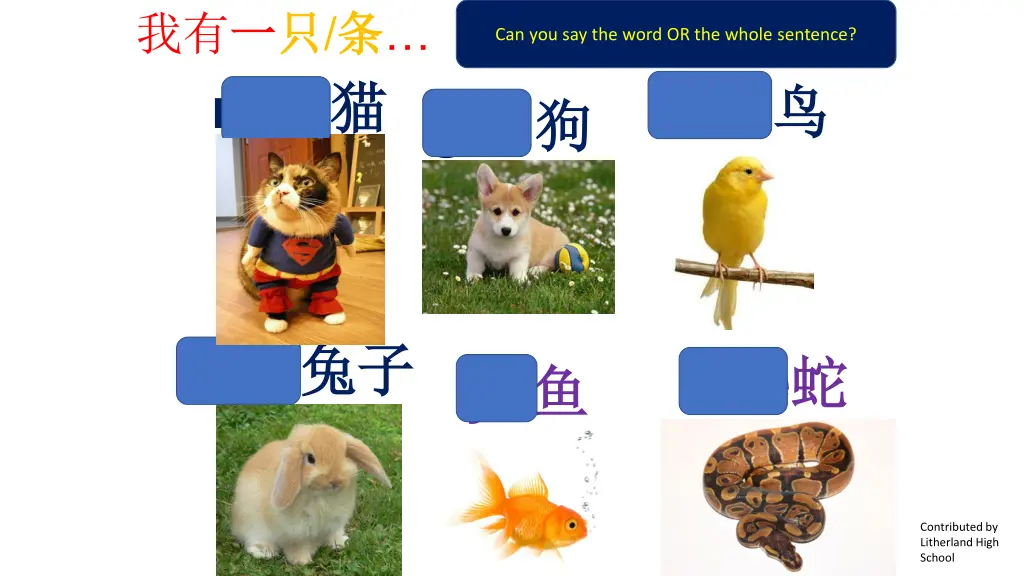 slide25