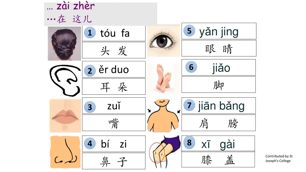 z i zh r