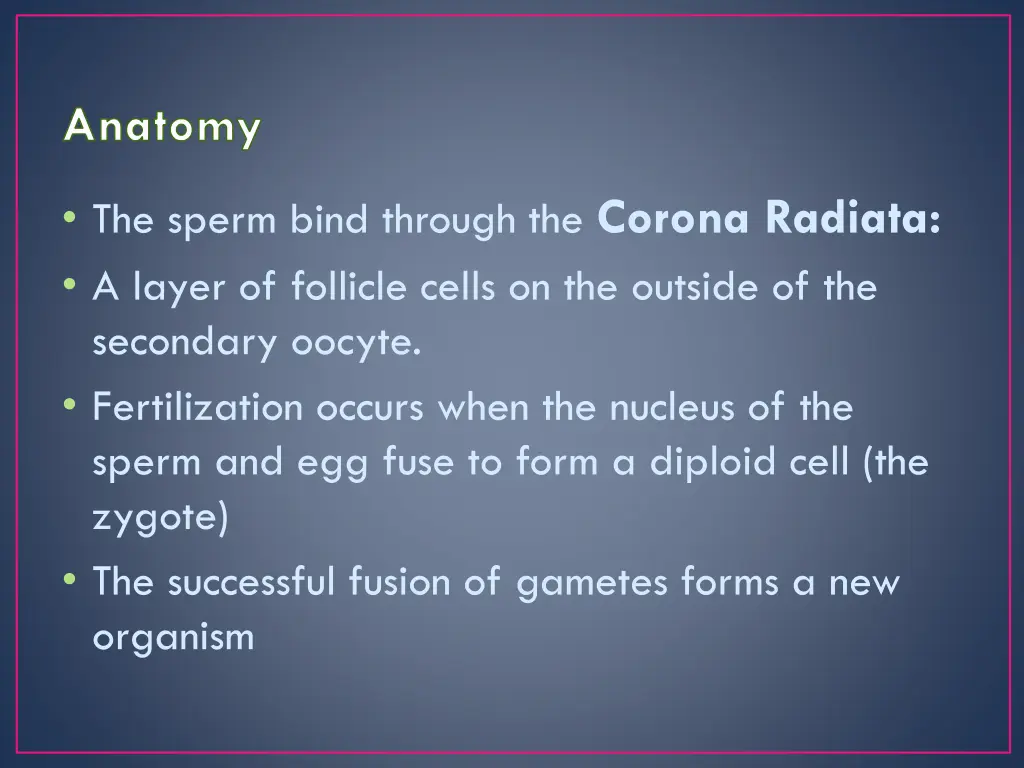 anatomy