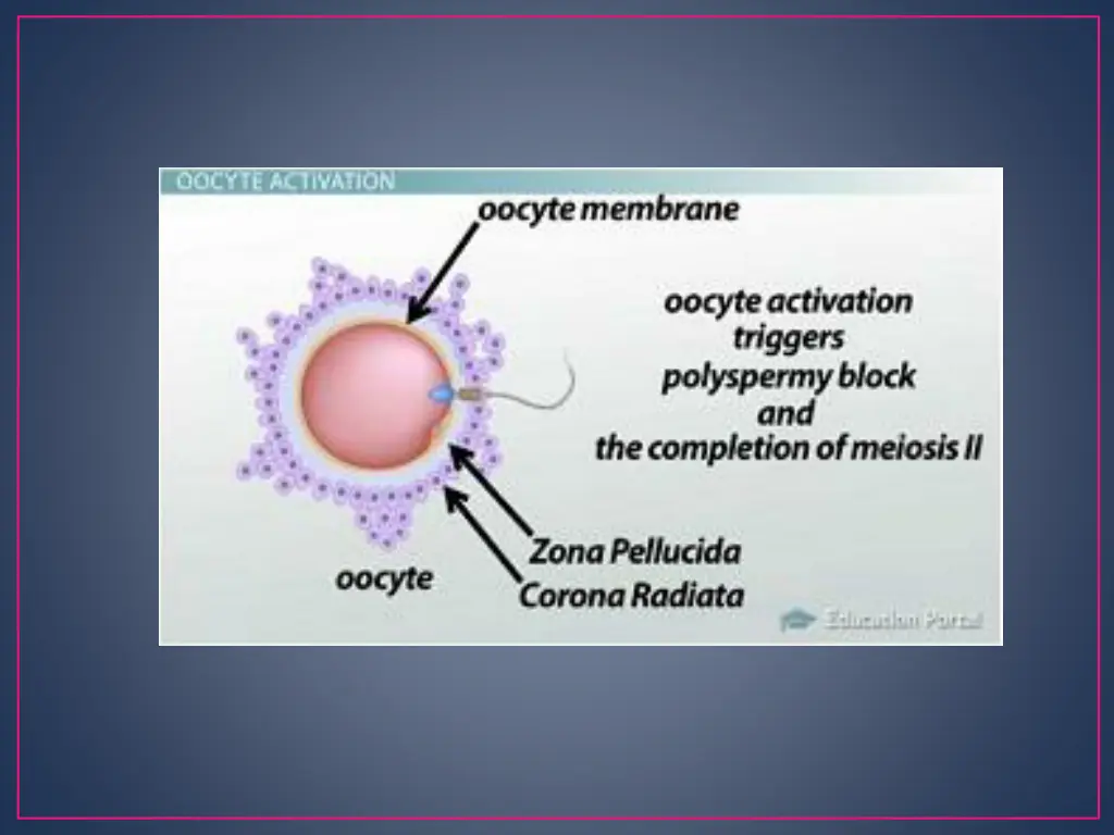 slide13