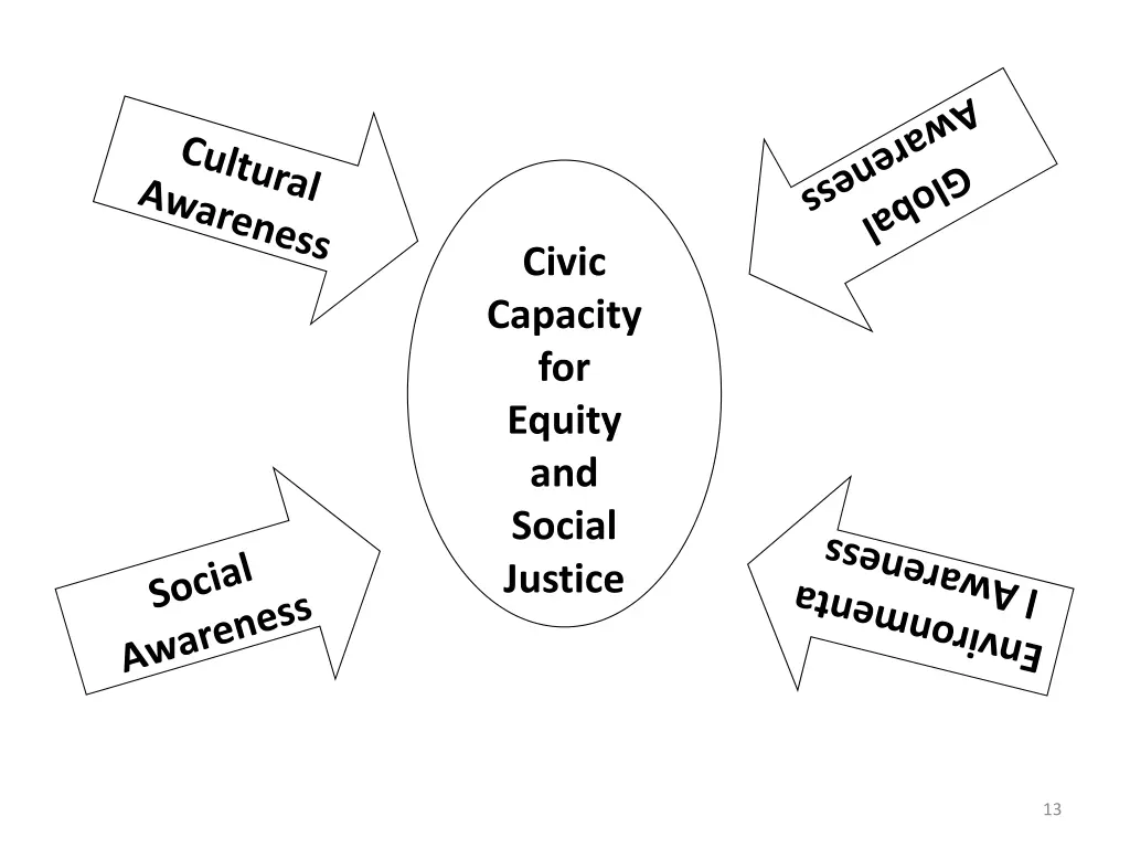 civic capacity for equity and social justice